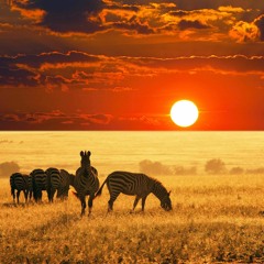 tyTunes - Toto - Africa (techno cover)