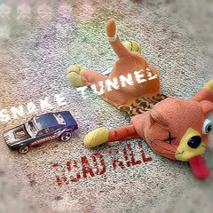Snake Tunnel - Road Kill! (Free download, Click buy link)