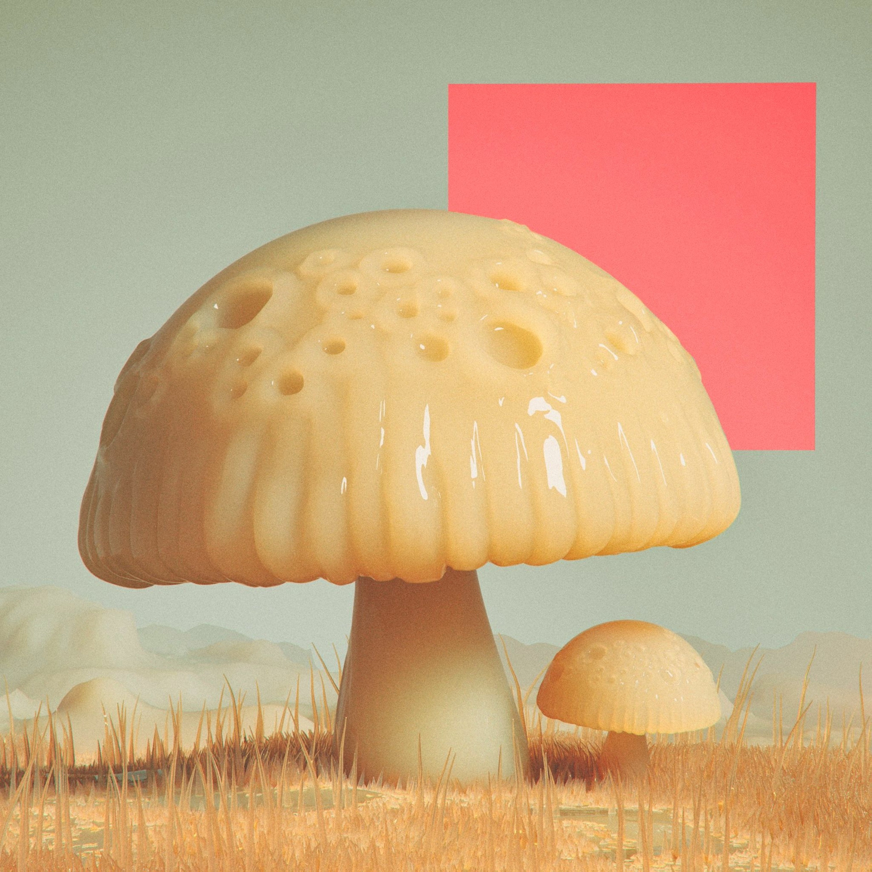 Dick Cosmic - Mushroom Soul episode artwork