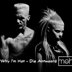 Die Antwoord - Diz Iz Why I'm Hot (meh. Remix)