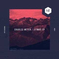 Charles Meyer - Gray Matter