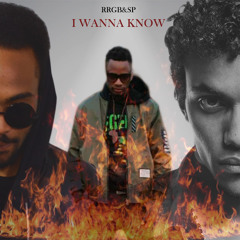RRGB & SP_I Wanna Know