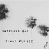 下载视频: Harrison BDP Guest Mix #12