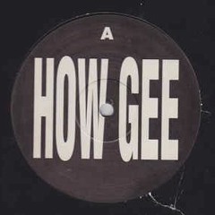 HowGee - AnJ - X2