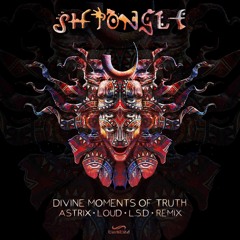 Shpongle - Divine Moments Of Truth (Astrix LOUD  LSD Remix)