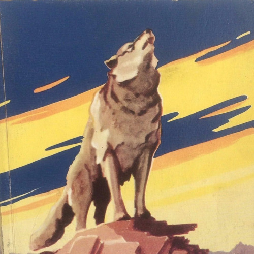 Stream Episode 357 By Chances With Wolves Listen Online For Free On 
