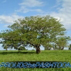 Sardar Ali Takkar Tapay