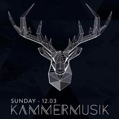 Cemode @ Kammermusik, 12/03/2017, La Rocca