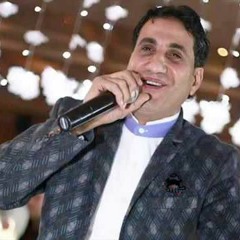 عنابي احمد شيبة