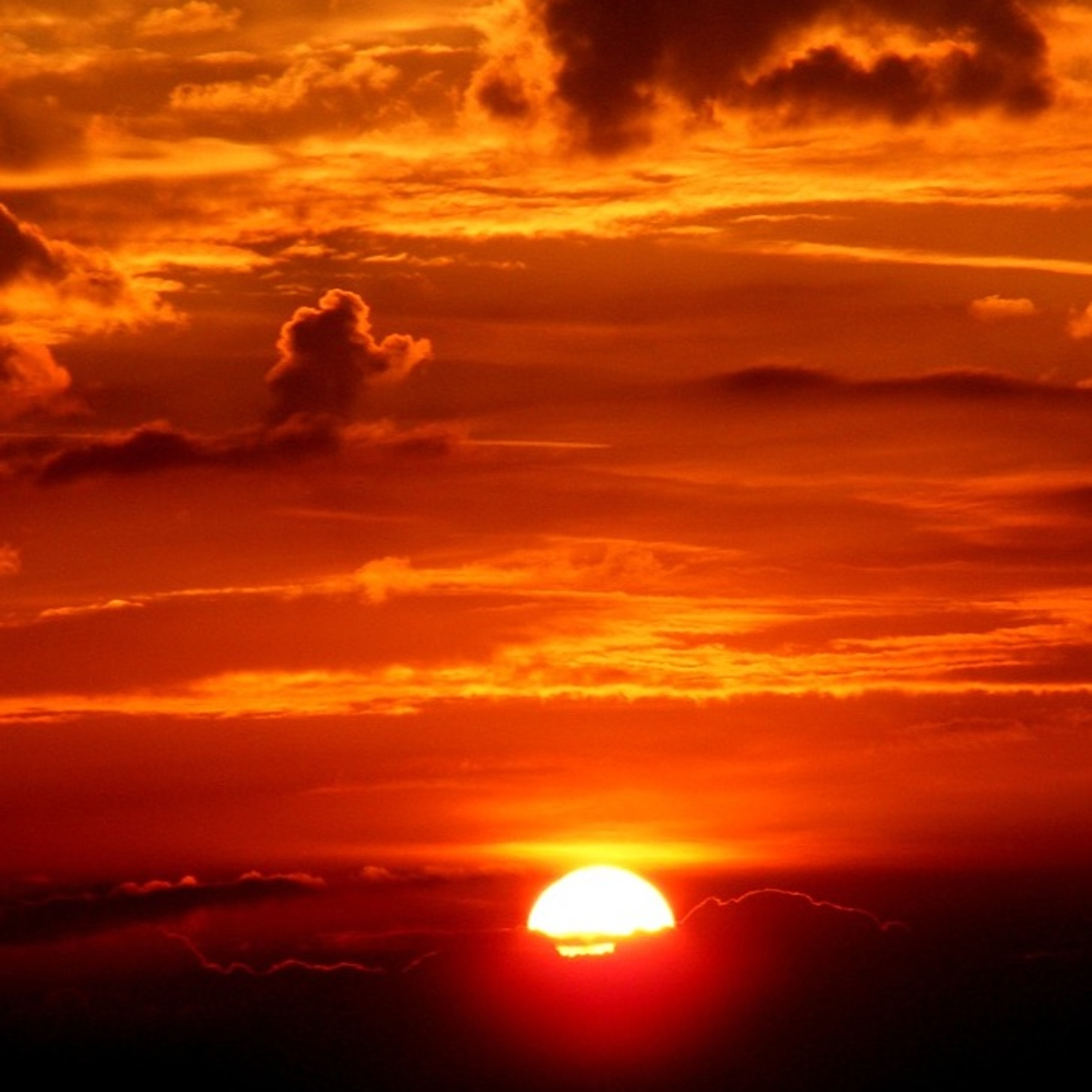 Sunset episode artwork