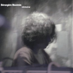 Mvt2 Der Stern from Infinitesimal (Sub Rosa)