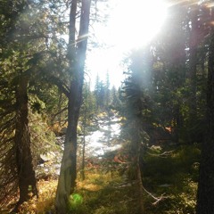 daylight - matt and kim