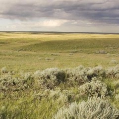 "Home, Plainbound" demo/8-string test