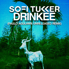 Sofi Tukker - Drinkee (Paulo Agulhari "UNRELEASED" Remix)