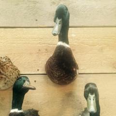 Second Date Update | Eileen and Paul, You Murderer