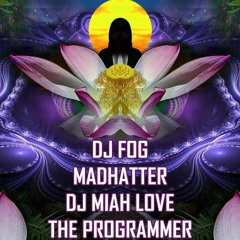 The Programmer - Radiant Release