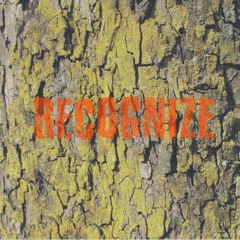 Recognize - (prod. by Donato Beats)