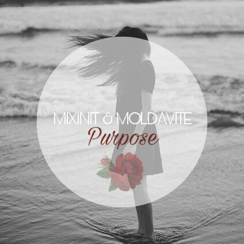 MIXINIT & MOLDAVITE - Purpose |NEW|