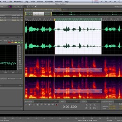 Fire Imaging Claire Edwards