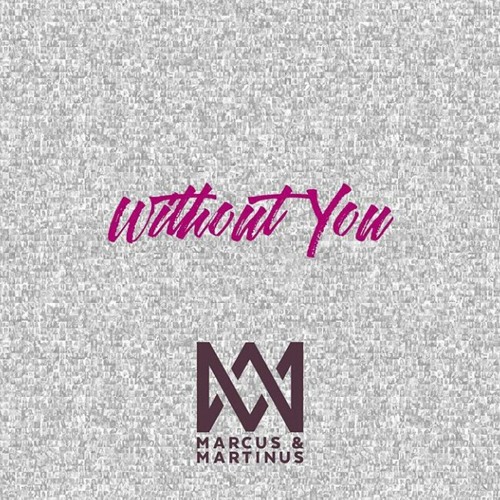Marcus & Martinus - Without You ( Remix)