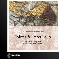 Premiere: Several Definitions & Marc DePulse - Lions (Raw District Remix) (Selador)