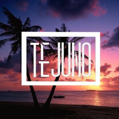 O-Zone - Numa Numa Yei (Tejuno Remix)