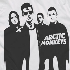 Arctic Monkeys - Fluorescent Adolescent - Live At Reading Festival 2009 HD