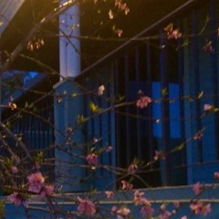 i'm outside