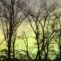 Daybreak   (AMBYNT & amethyst_sonata)