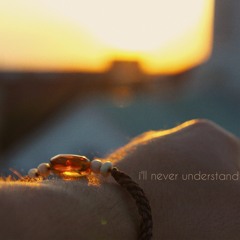 i'll never understand