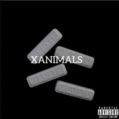Xanimals - May - HAM Freestyle