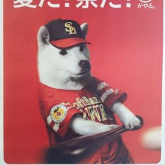 Diamond Fox - 8 30 16, 3.39 PM 2