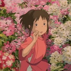 when spring ƒlowers bloom