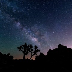 Polarity (Alan Watts Flip)