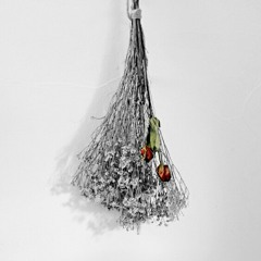 [COVER] HIGHLIGHT (하이라이트) - It's Still Beautiful (아름답다) 1st Mini Album 'Can You Feel It?'