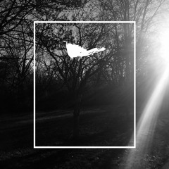 The Dream is Always the Same