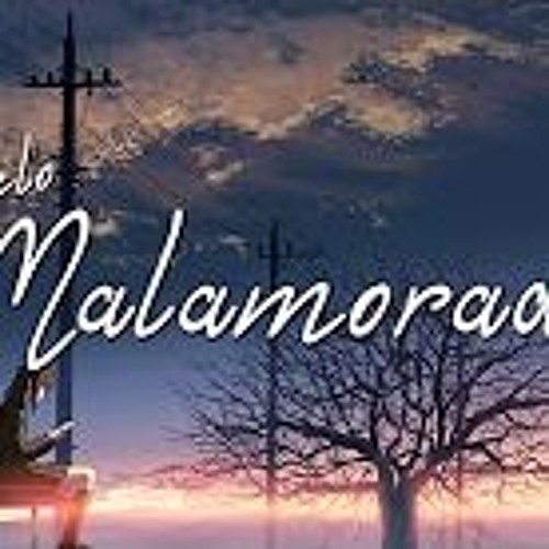 Cyclo - Malamorado