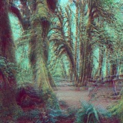 Hallucinating (prod. By Marquel)