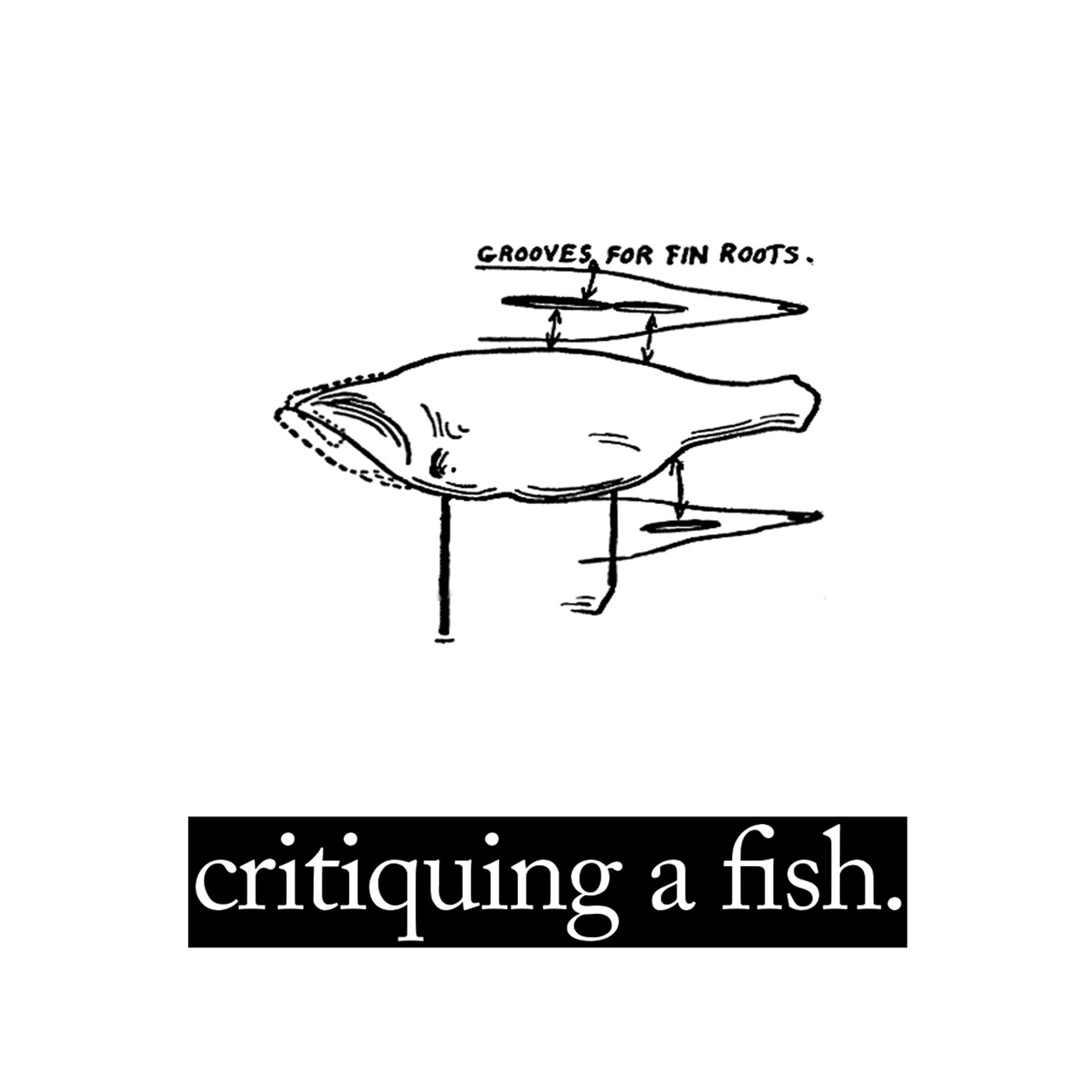Critiquing A Fish