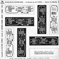 Silicone Soul - Who Needs Sleep Tonight (The DJ G.Hell Remix)