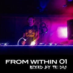 From Within Vol1 By Pe Dro