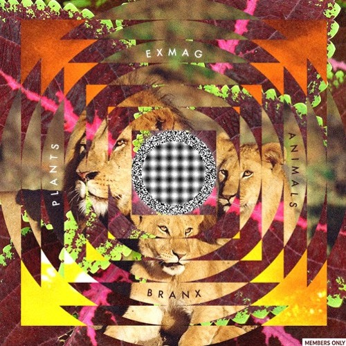 Exmag and BRANX - Map Of Foreign Lands Ft. Kianu (TheSpvceAge Remix)
