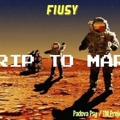 Trip To Mars (Original mix)