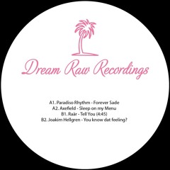 PREMIERE: Paradiso Rhythm - Forever Sade [Dream Raw Recordings]