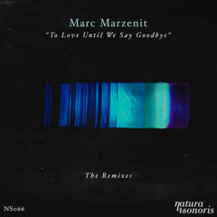 PREMIERE Marc Marzenit - Theme For The End (Rafael Cerato & THe WHite SHadow Remix) [Natura Sonoris]