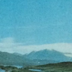 The Rowan Tree And The White Beam