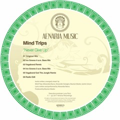 Mind Trips "Never Give Up"- Aenaria Music [AENMU076]