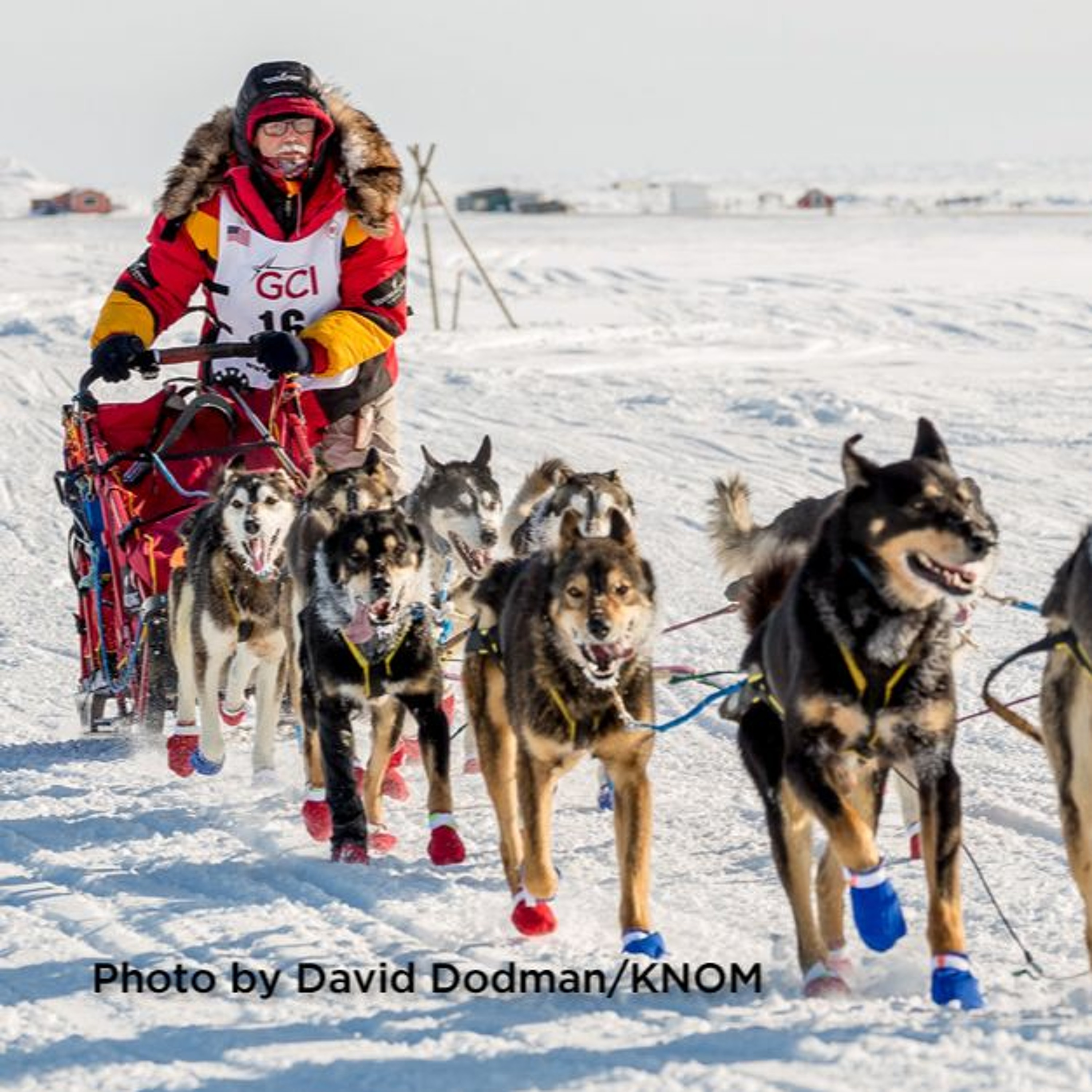Episode 15: Mitch Seavey Wins the Iditarod In Record-Breaking Fashion thumbnail