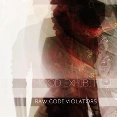 Mood Exhibit- RAW.CODE.VIOLATORS