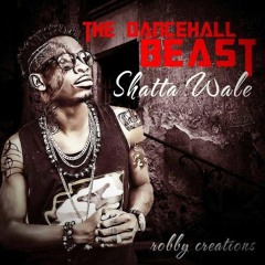 Shatta Wale - I RUN GHNANA.. Prod.by Damaker